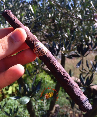 Cigarro toscano